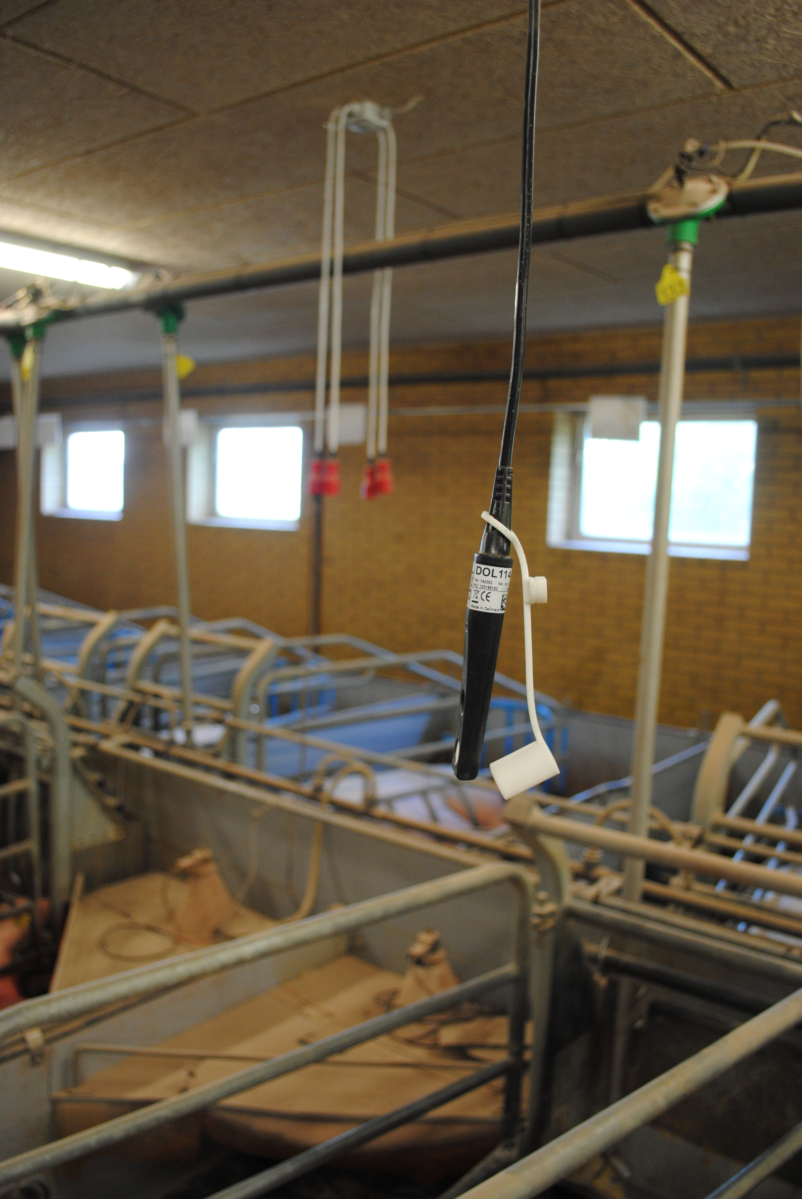 livestock house temperature humidity sensor installation