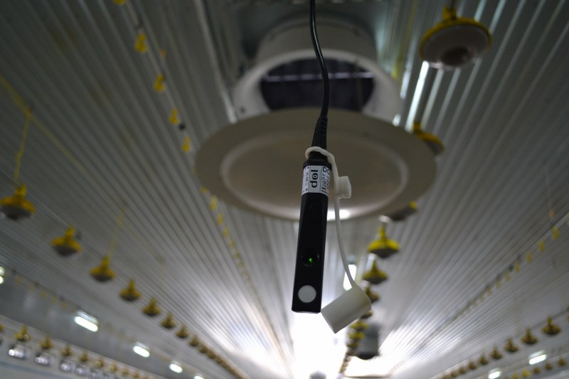 humidity sensor installed in poultry house